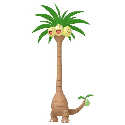 椰蛋樹
