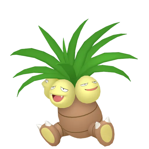 椰蛋樹