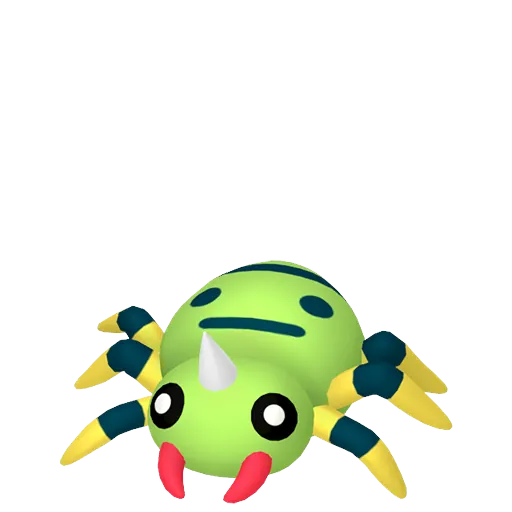 圓絲蛛