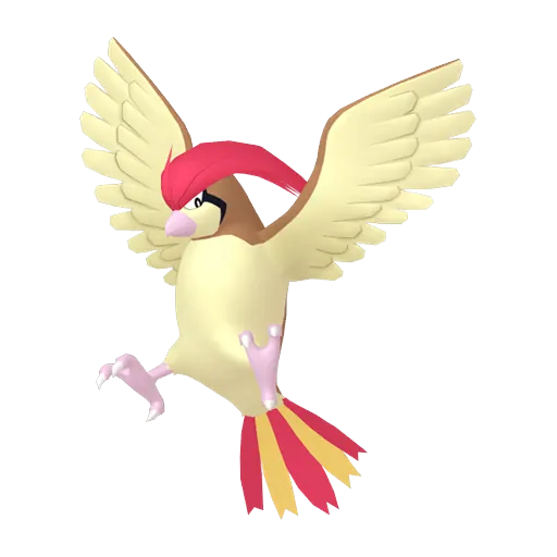 比比鳥