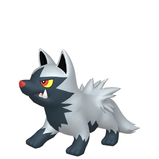 土狼犬