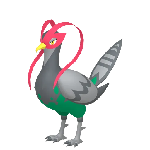 高傲雉雞