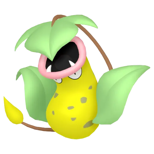 大食花