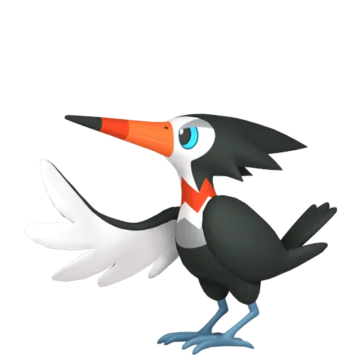 喇叭啄鳥