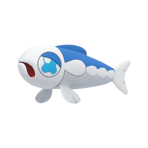 弱丁魚