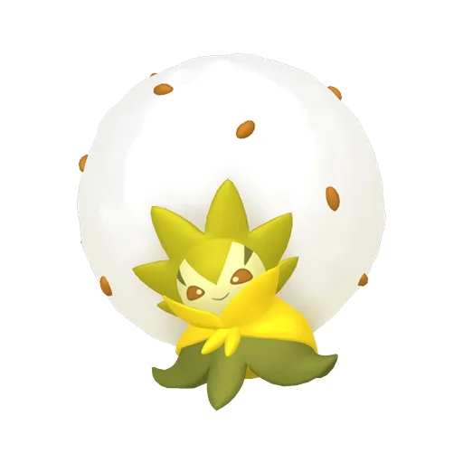 白蓬蓬