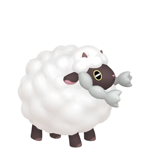 毛辮羊