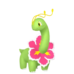 大竺葵