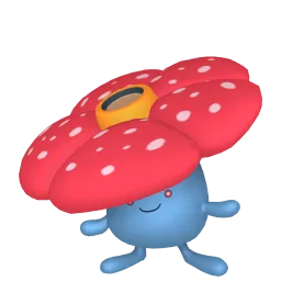 霸王花