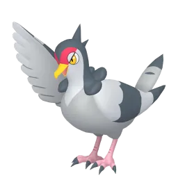 咕咕鴿