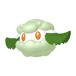 木棉球