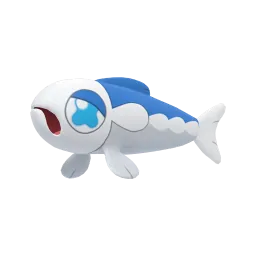弱丁魚