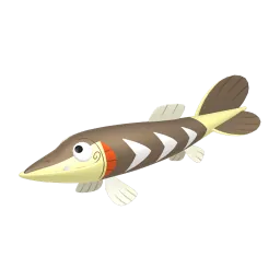 刺梭魚